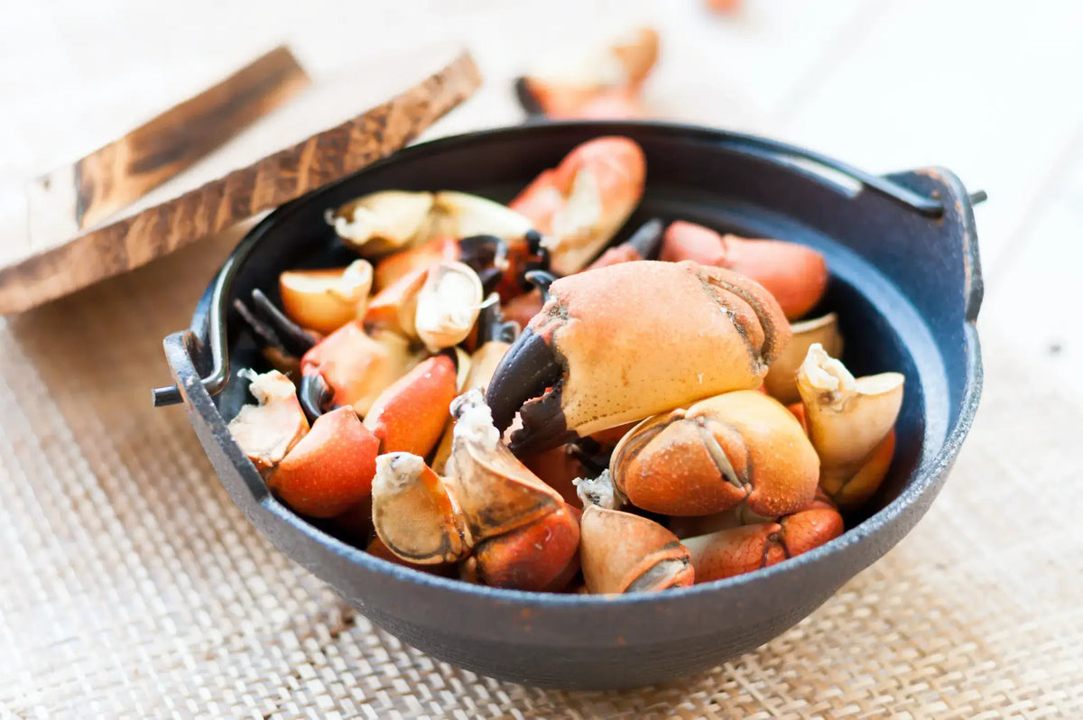 How to Prepare Stone Crab Claw Meat Correctly