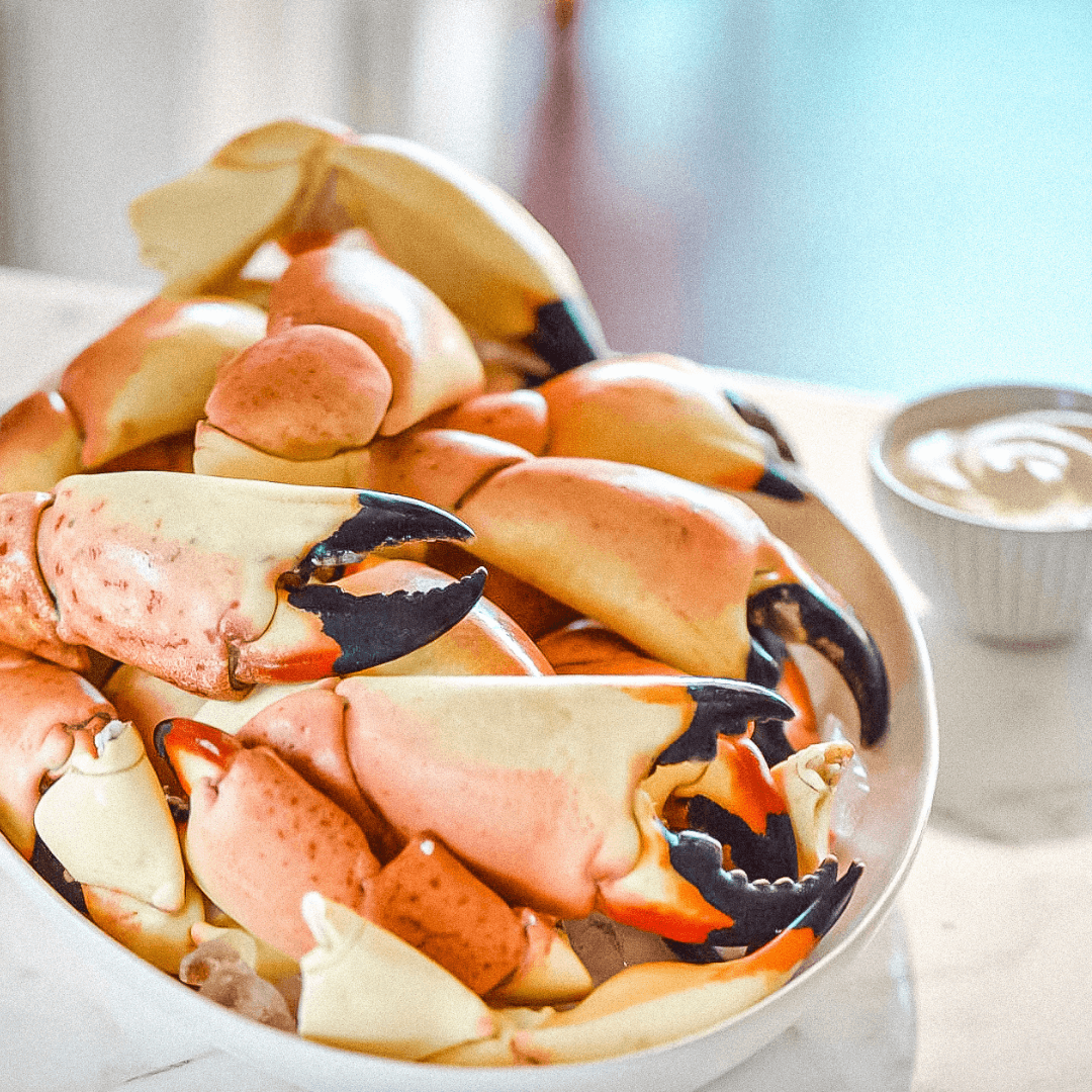 Plate of freshly cooked Florida stone crab claws ready to eat