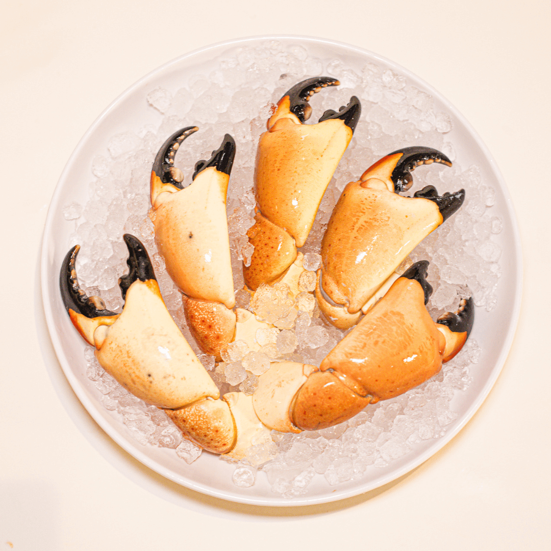 Five stone crab claws arranged in a pinwheel on a white plate with ice