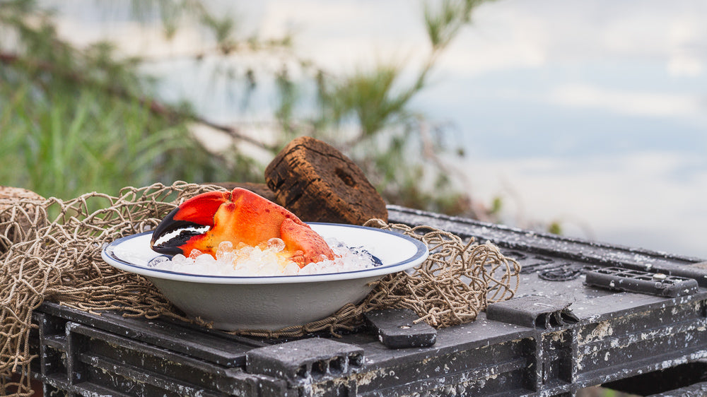 What Is the Difference Between Stone Crabs and Alaskan King Crabs?
