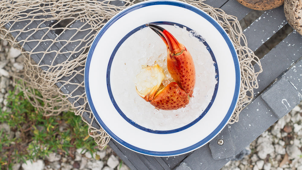 A single cooked crab claw served on a bed of crushed ice in a white bowl with a blue rim, placed on a rustic surface with a fishing net