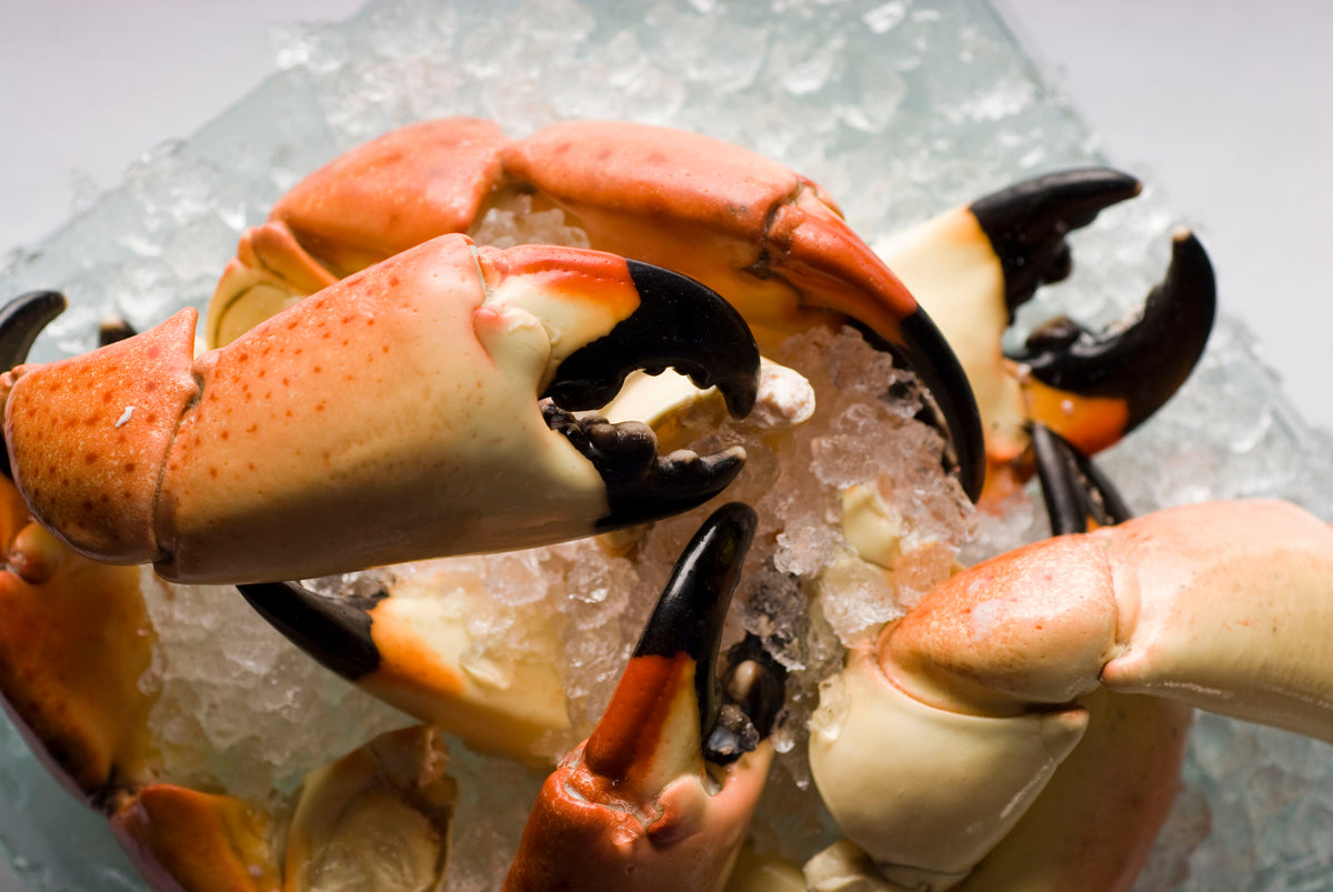 6 Stone Crab Recipes To Cook Up Today