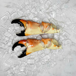 Jumbo stone crab claw back view