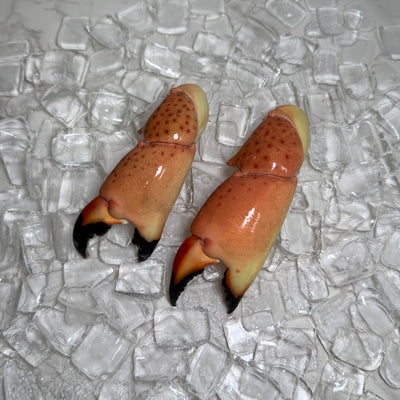 Image for Medium Stone Crab Claws