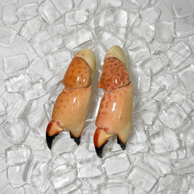 Image for Medium Stone Crab Claws