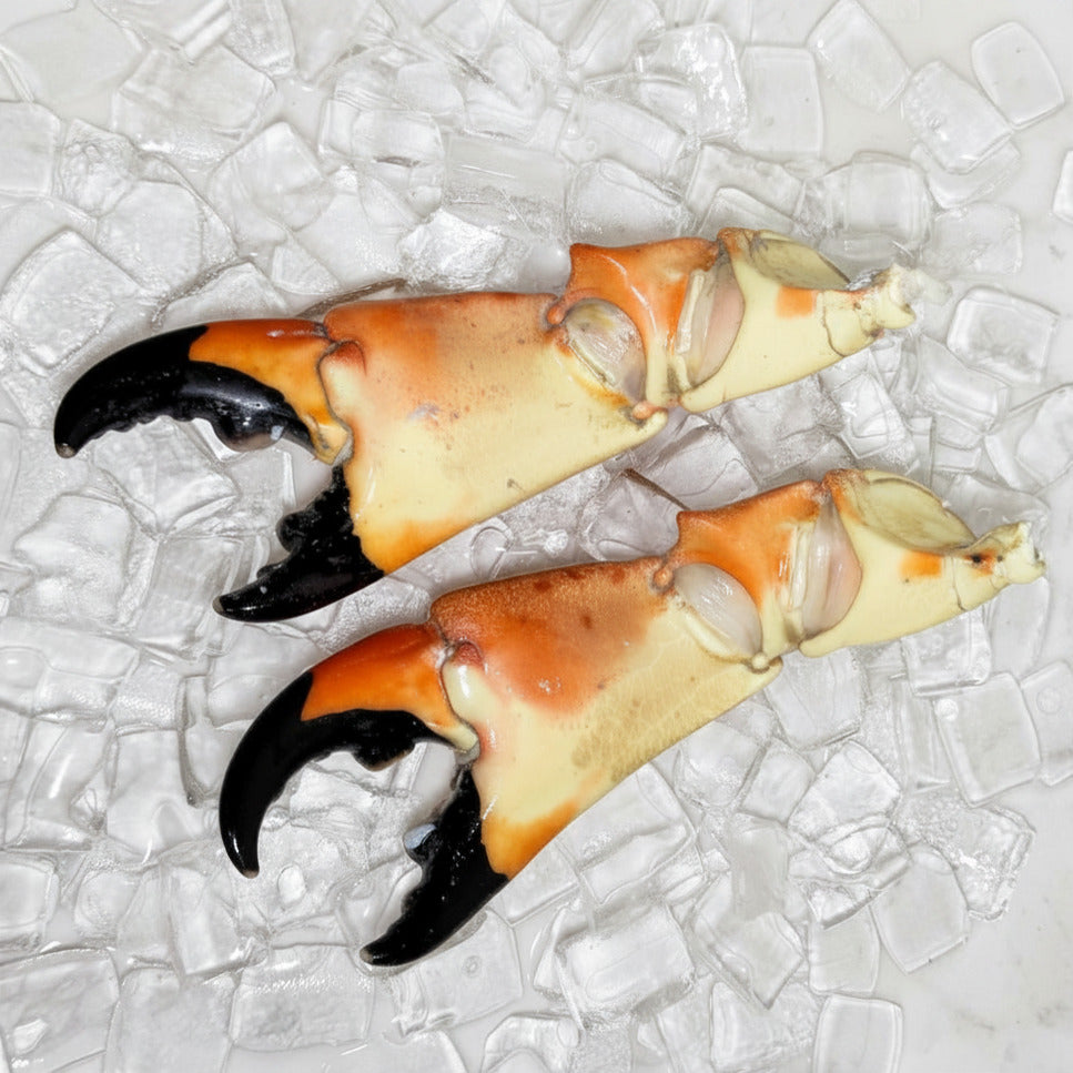 Image of Colossal Stone Crab Claws - colossal_back