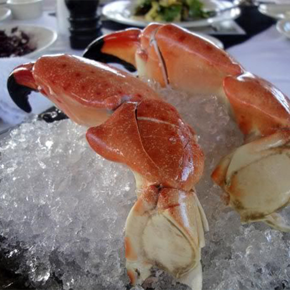 Colossal Stone Crab on Ice