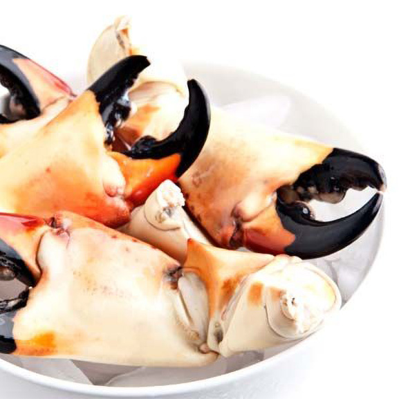 Large Stone Crab Claws