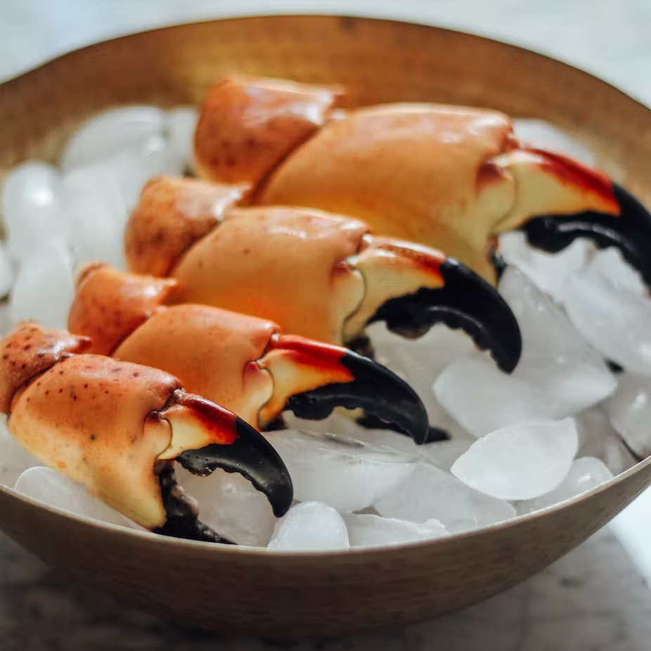 stone crab claw on ice