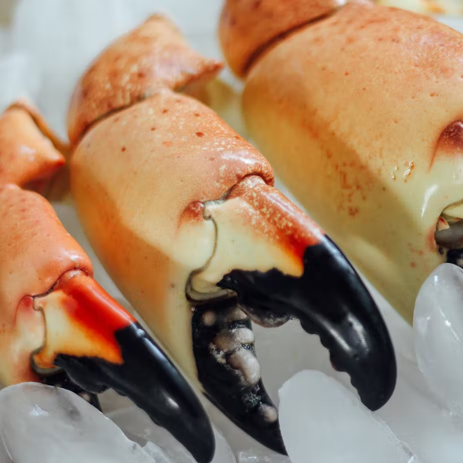 Image of Classic: Large Claws Dinner For 4 & Key Lime Pie